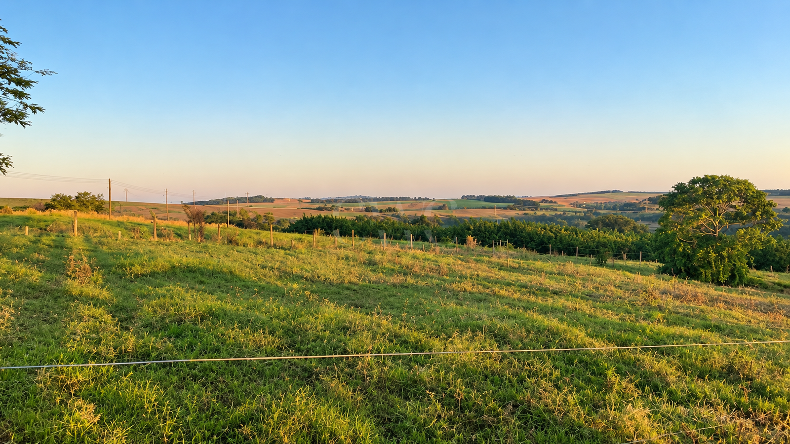 Sítio à venda em Analândia, SP – 10 alqueires, produção agrícola e excelente potencial para haras em Analândia, SP - foto 3