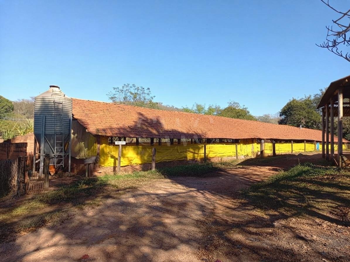 Sítio com 11,8 alqueires e granja de corte integrada à Korin à venda em Corumbataí/SP em Corumbataí, SP - foto 3