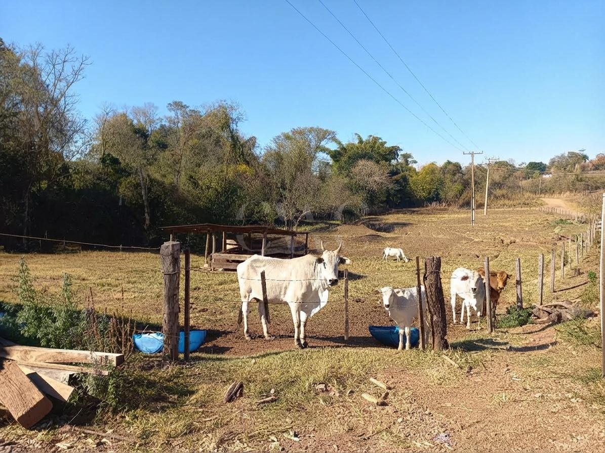 Sítio com 11,8 alqueires e granja de corte integrada à Korin à venda em Corumbataí/SP em Corumbataí, SP - foto 1