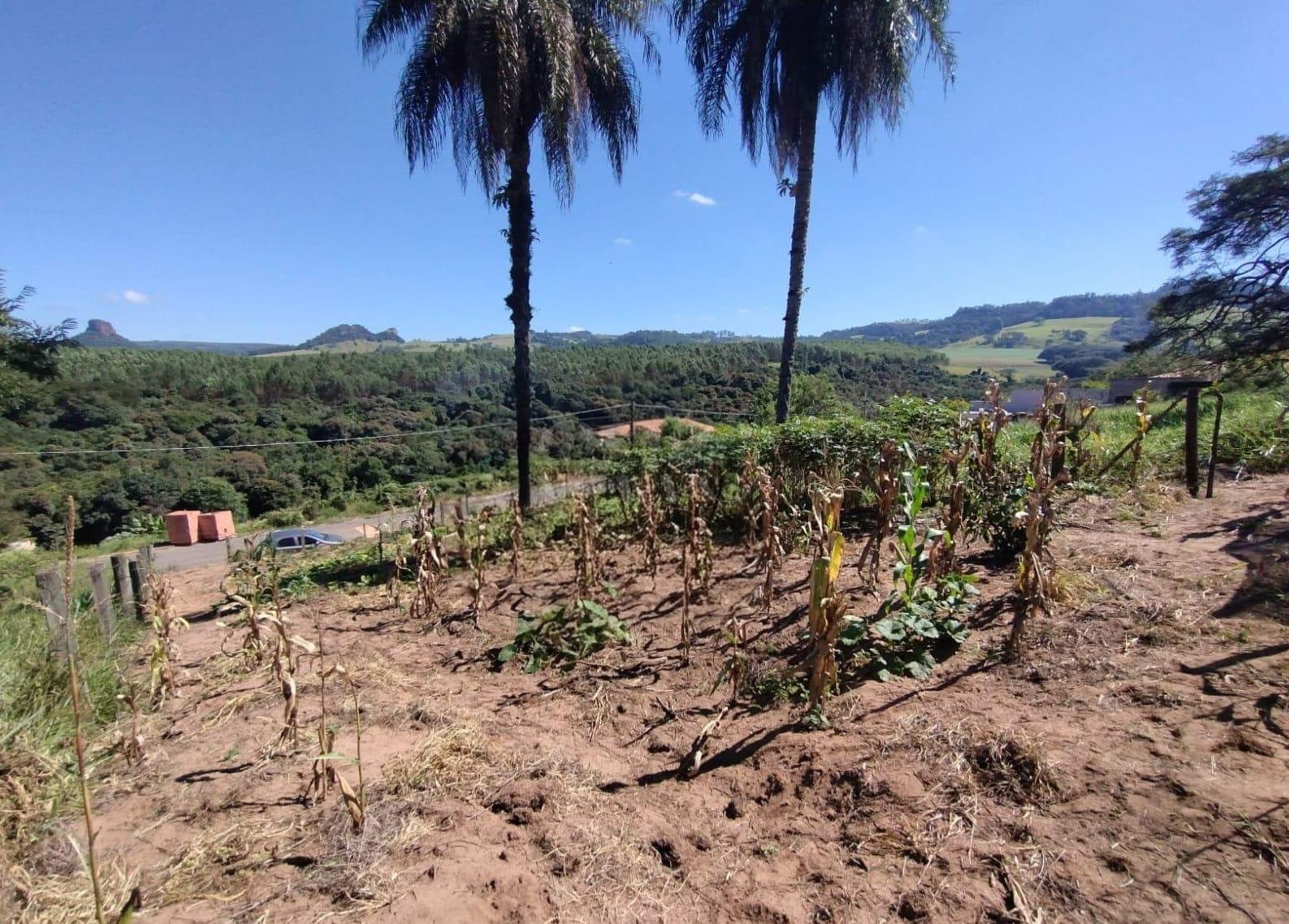 TERRENO À VENDA | JARDIM LARANJEIRAS – ANALÂNDIA/SP em Analândia, SP - foto 1