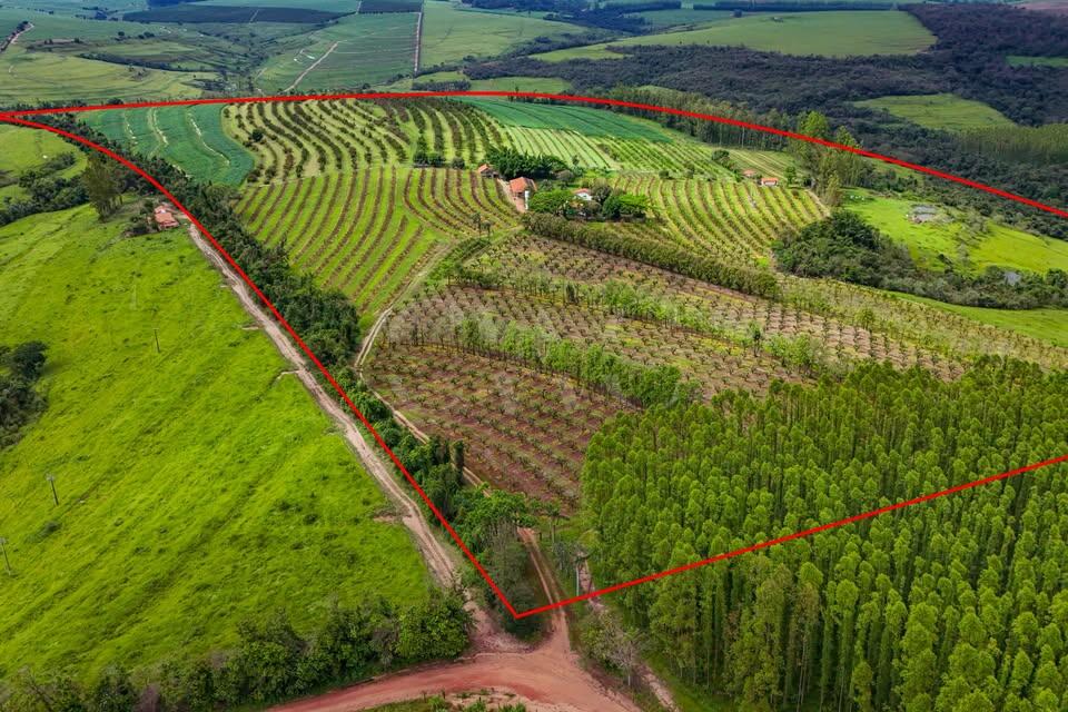 Sítio à venda em Analândia/SP | Propriedade produtiva com 34,9 alqueires