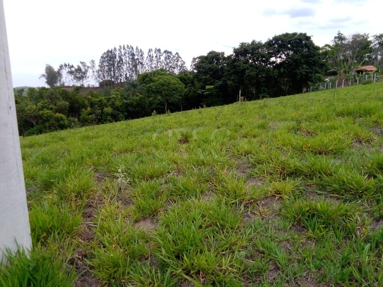Terreno com 650m2 - loteamento Nova Analândia - Analândia